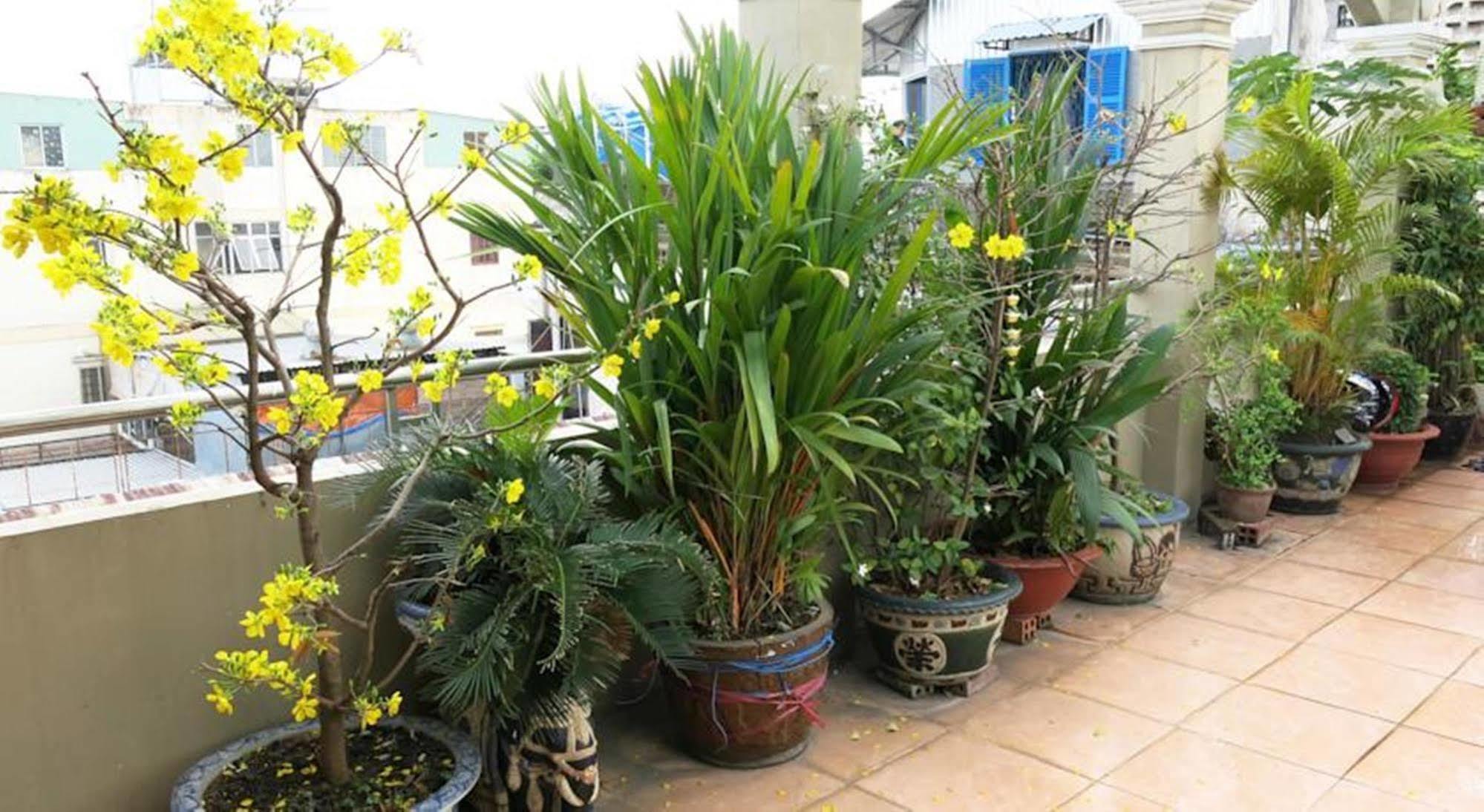 Banana Leaf Hotel Хошимин Экстерьер фото